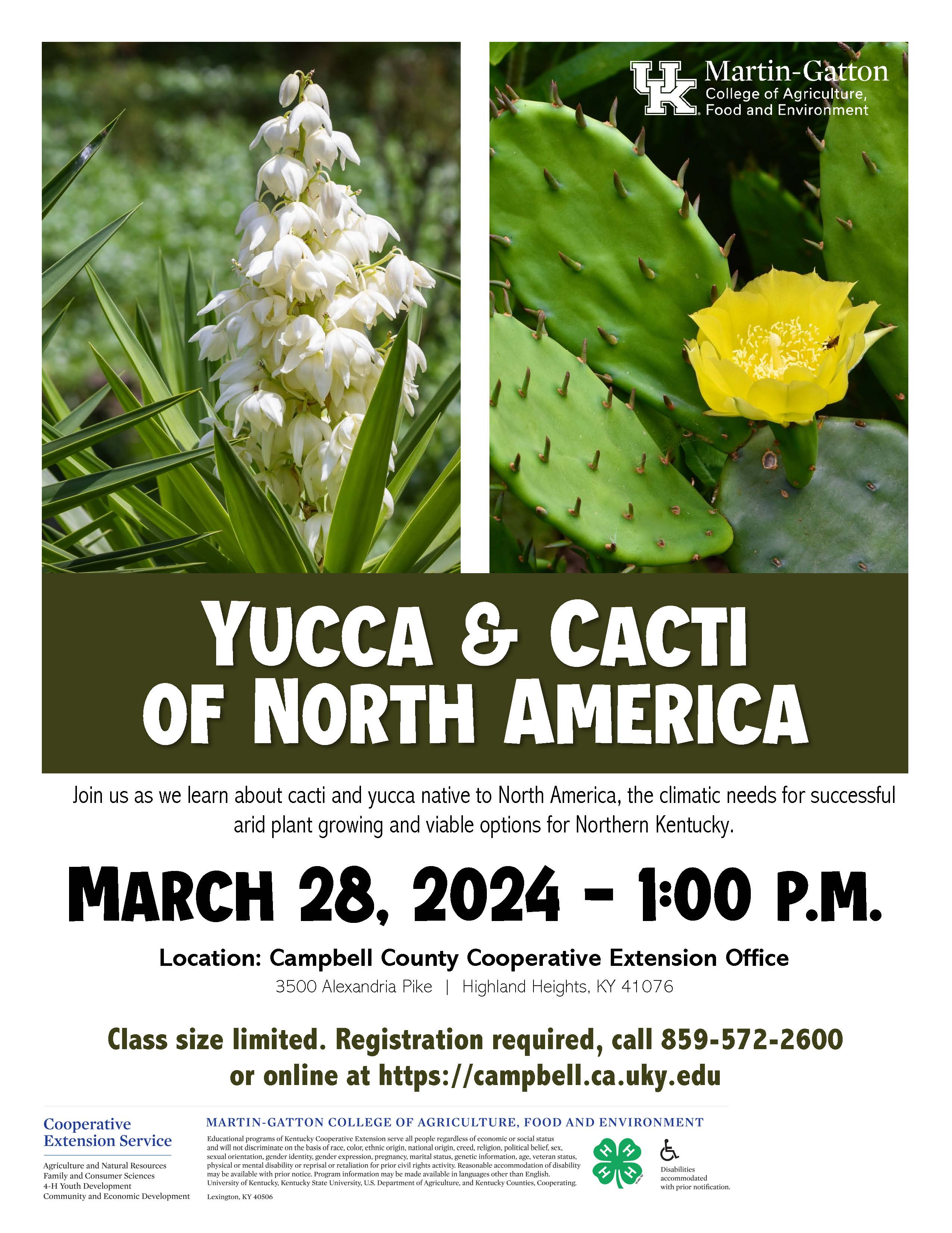 Cacti and Yucca of North America Flyer