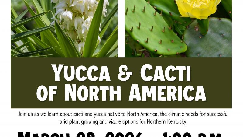 Cacti and Yucca of North America Flyer