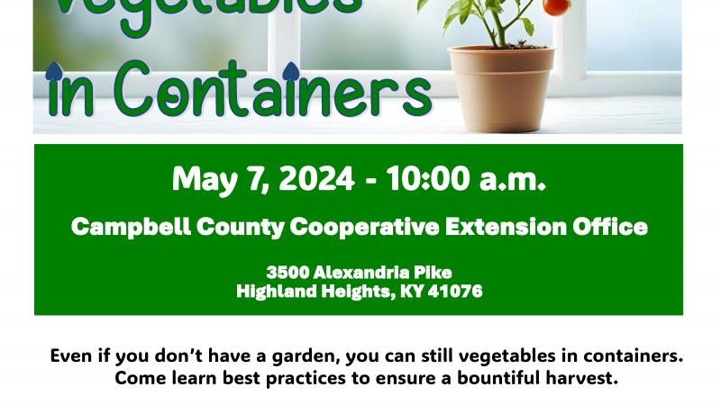 Growing Vegetables in Containers 5-5-24
