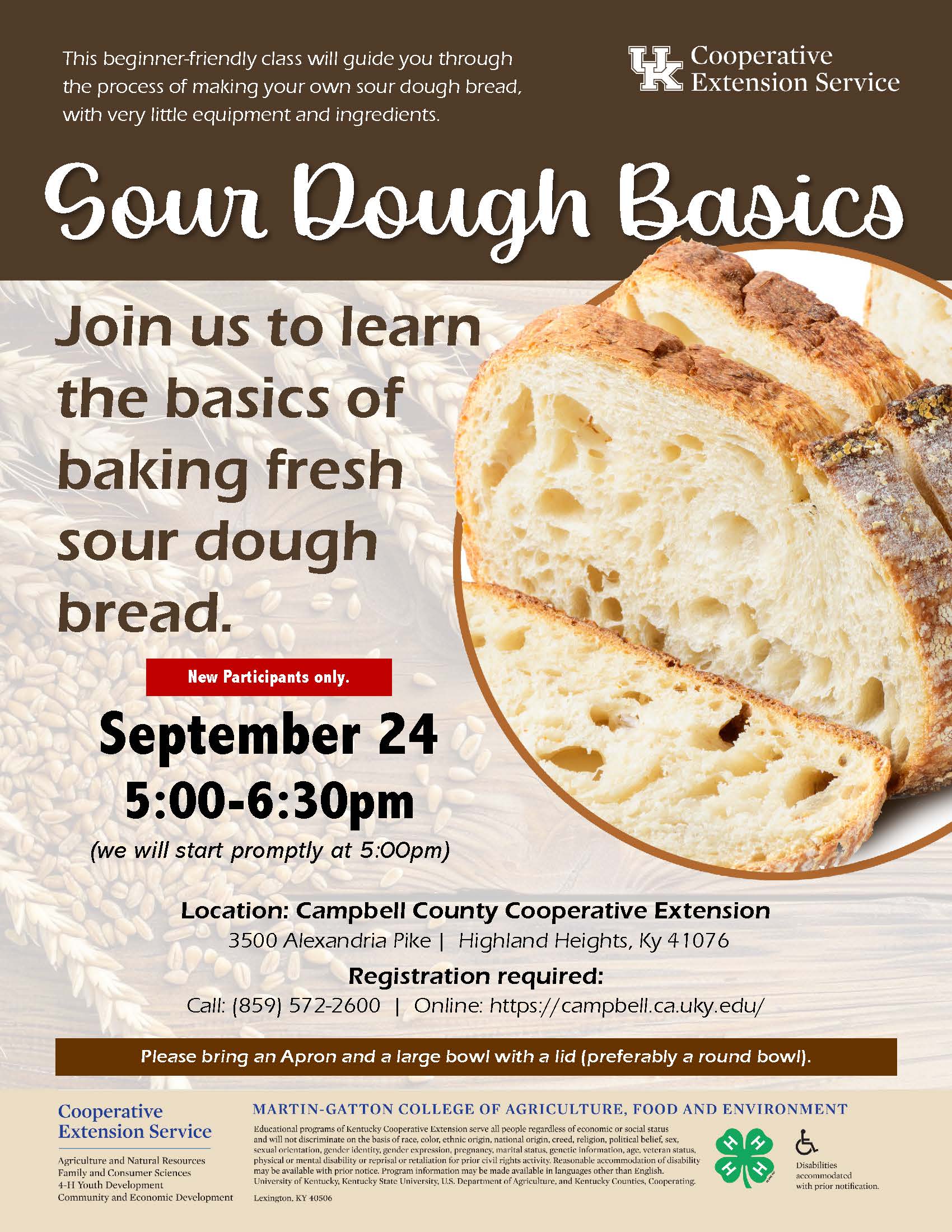 Sour Dough Basics