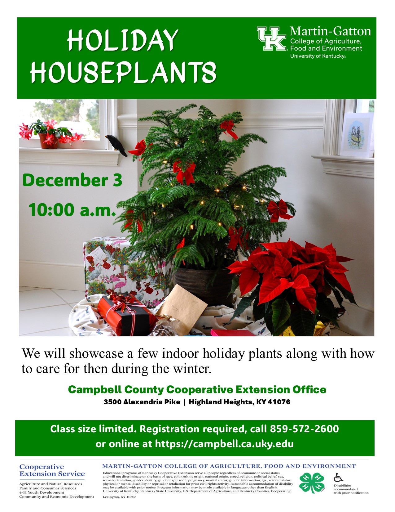 Houseplants