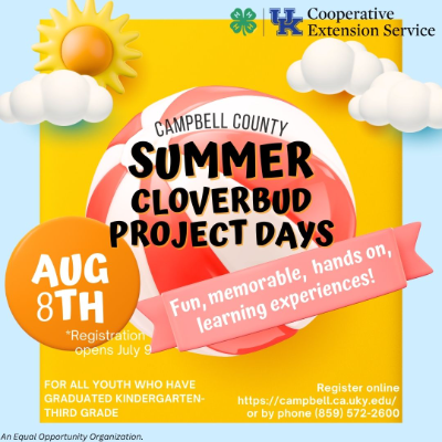 Summer Project Day