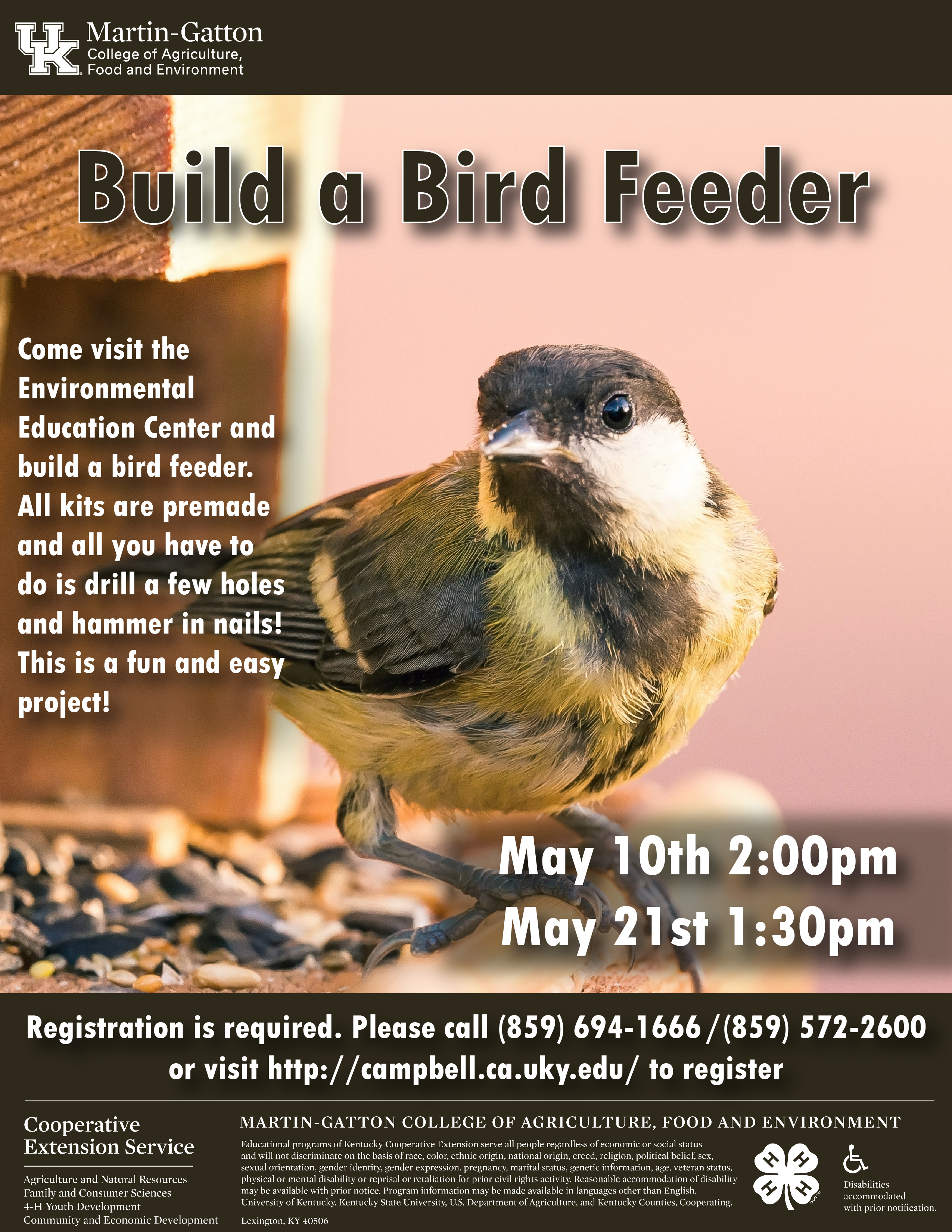 Build a Bird Feeder