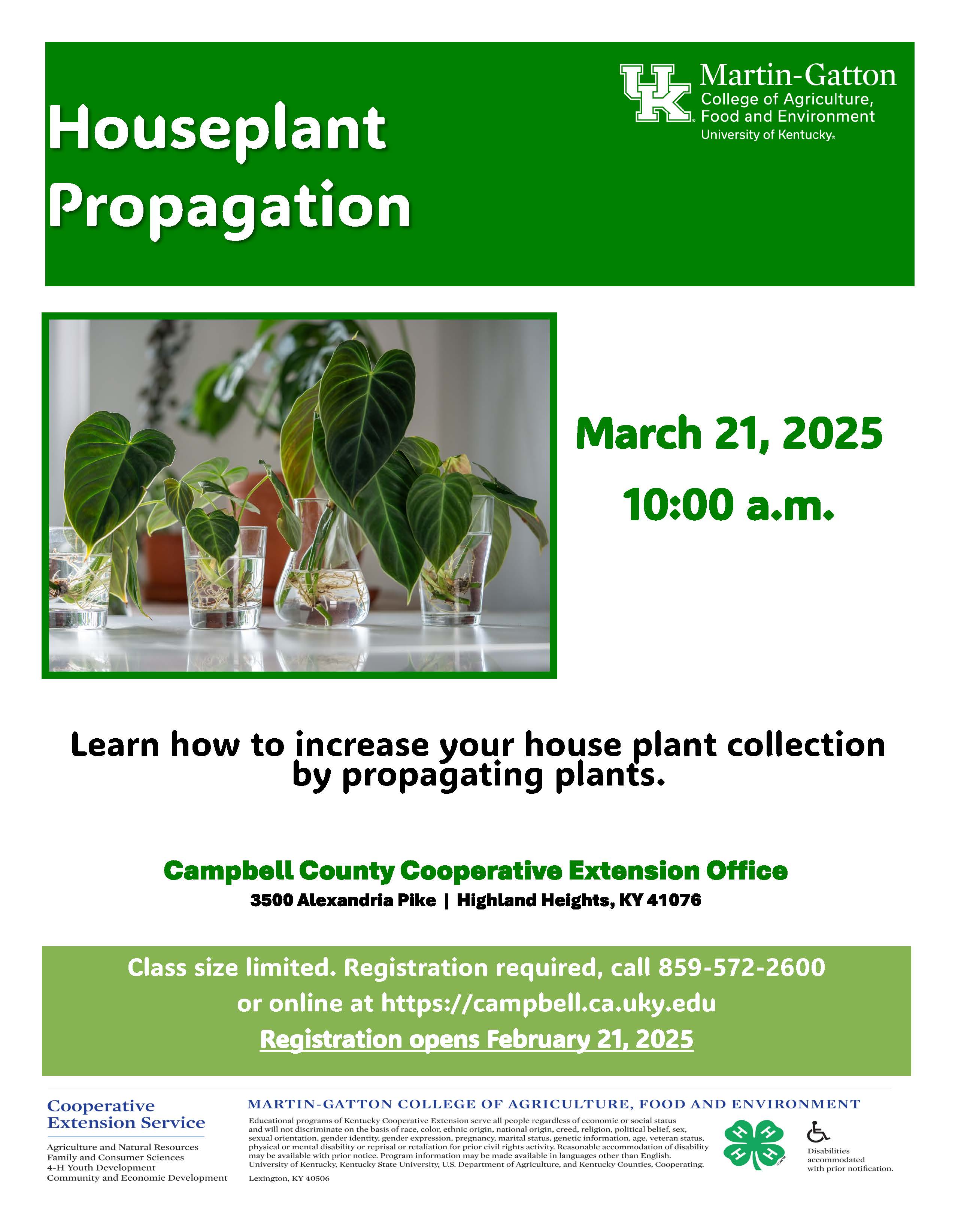 Houseplant Propagation