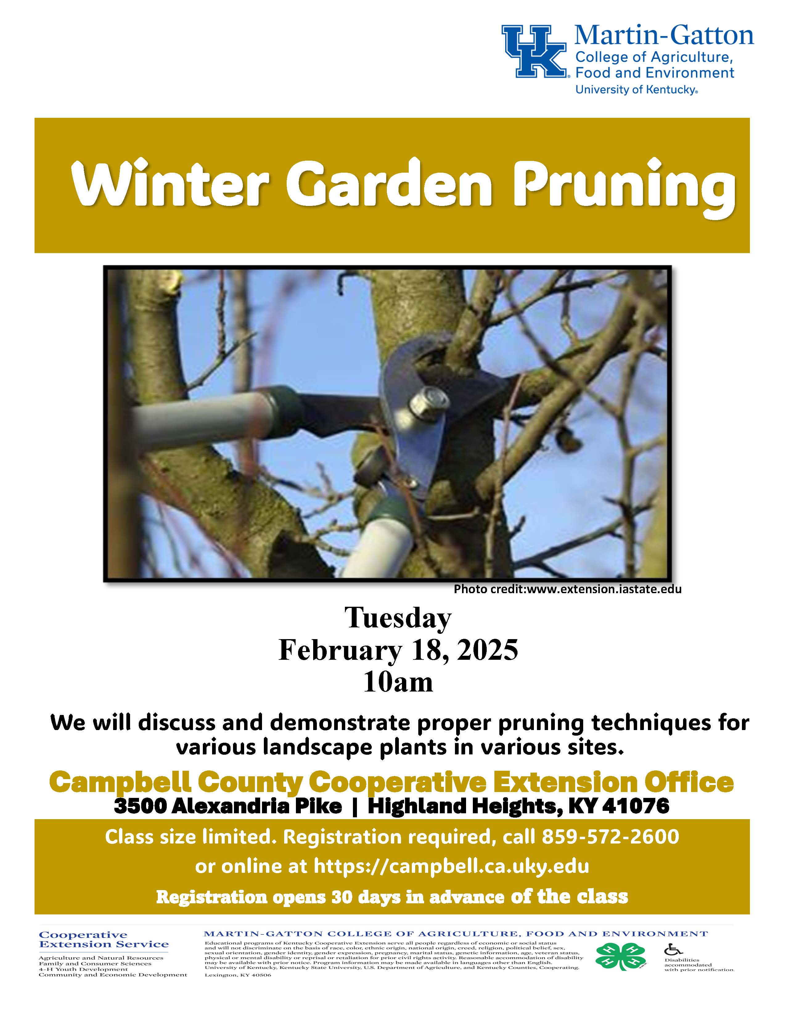 Winter Garden Pruning