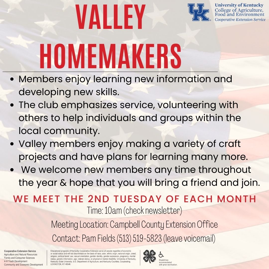 Valley Club Flyer