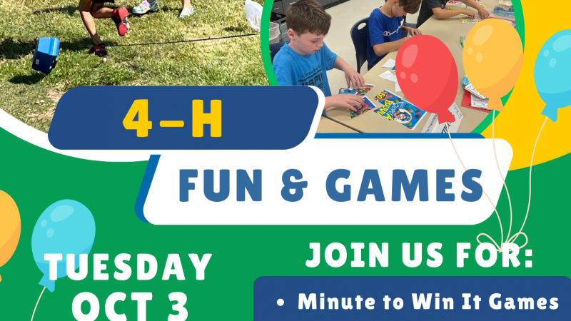 4-H Fun and Games Flyer