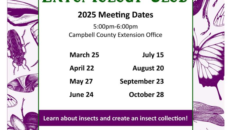 Entomology Club