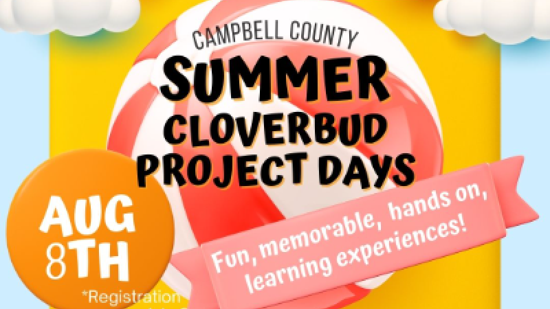 Summer Project Day