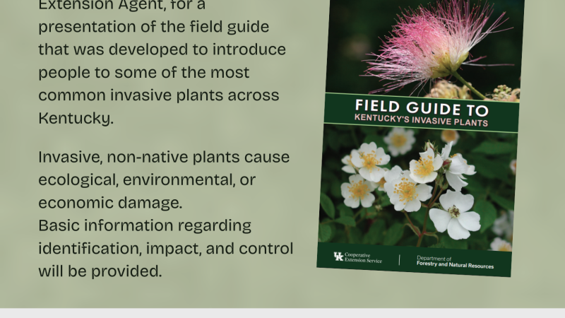 Invasive Plants