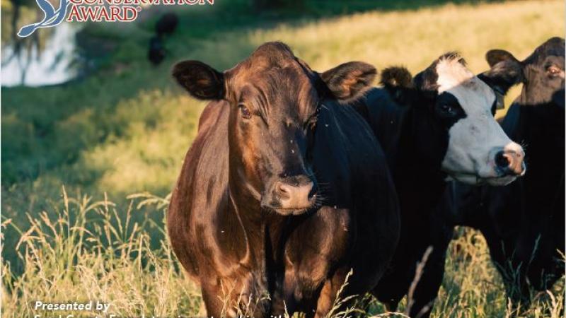 Leopold Conservation Award. Call for Applications Kentucky 2023. Presented by Sand County Foundation in partnership with American Farmland Trust, and start partners; Kentucky Agricultural Council and Kentucky Association of Conservation Districts.