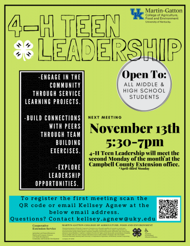 4-H Teen Leadership November