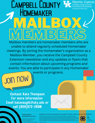 Mailbox Members Flyer